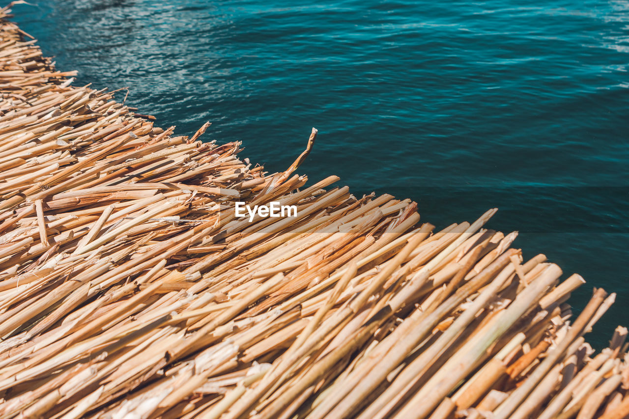 HIGH ANGLE VIEW OF DRIFTWOOD ON SHORE