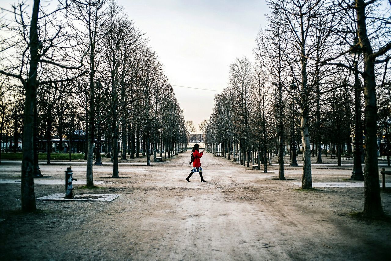 ROAD PASSING THROUGH BARE TREES