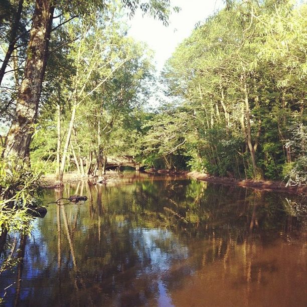 SCENIC VIEW OF LAKE WITH TREES IN BACKGROUND