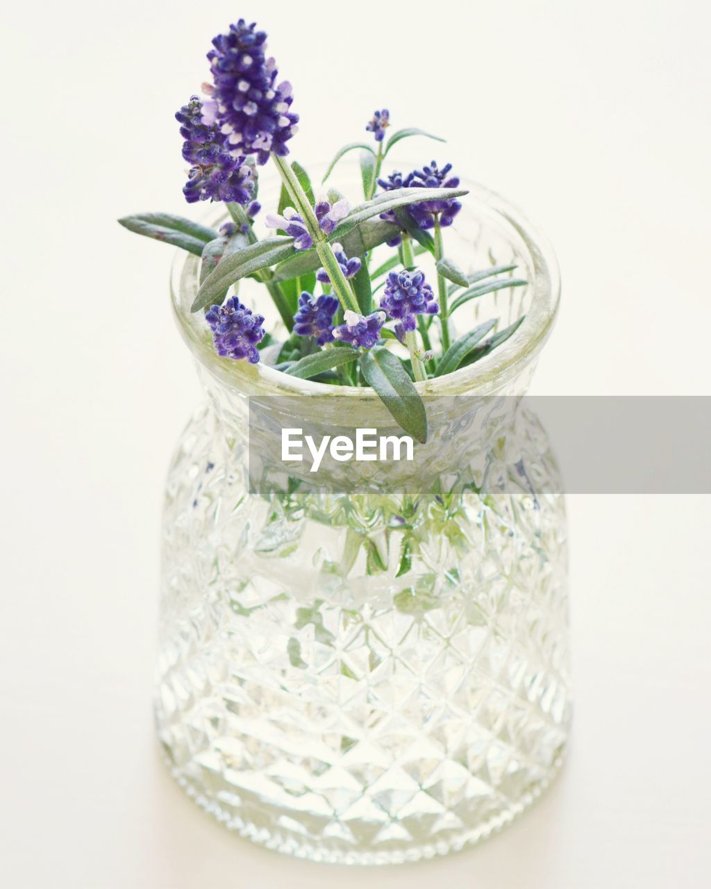 Close-up of purple flowers in glass jar on table