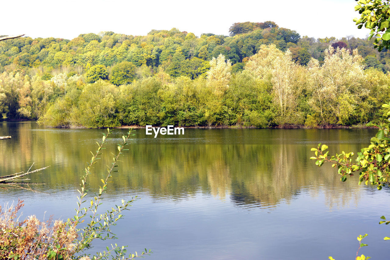 Scenic view of lake by trees against sky