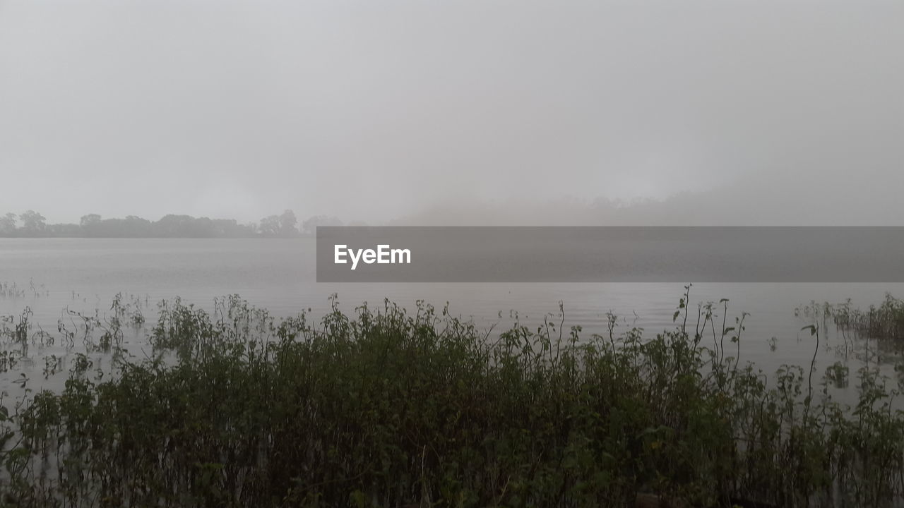 VIEW OF LAKE IN FOGGY WEATHER