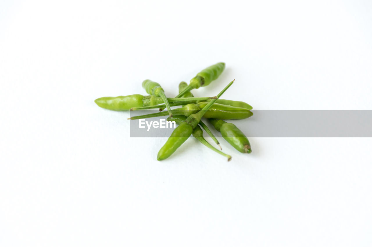 HIGH ANGLE VIEW OF FRESH GREEN PEPPER AGAINST WHITE BACKGROUND