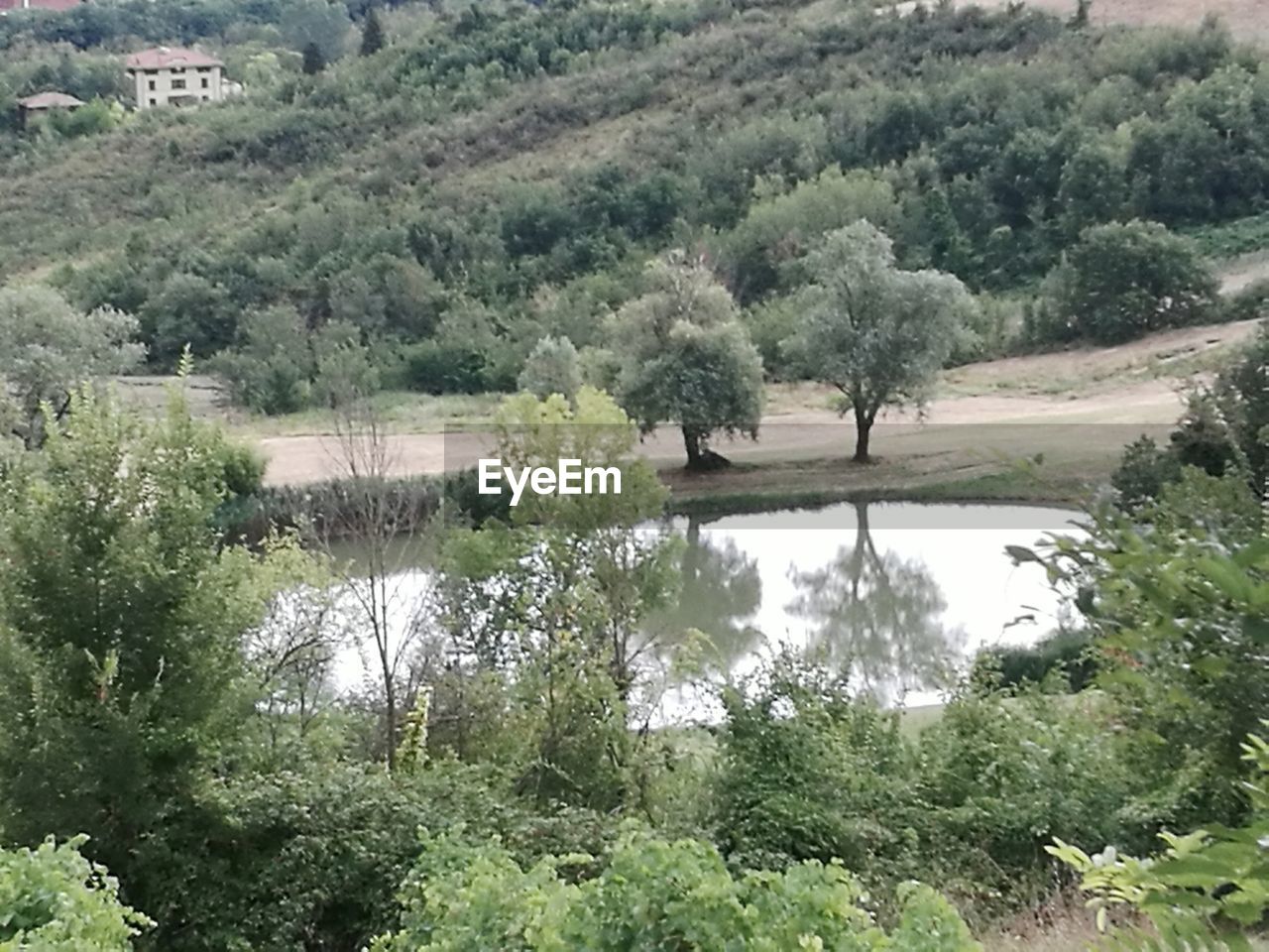 SCENIC VIEW OF CALM LAKE