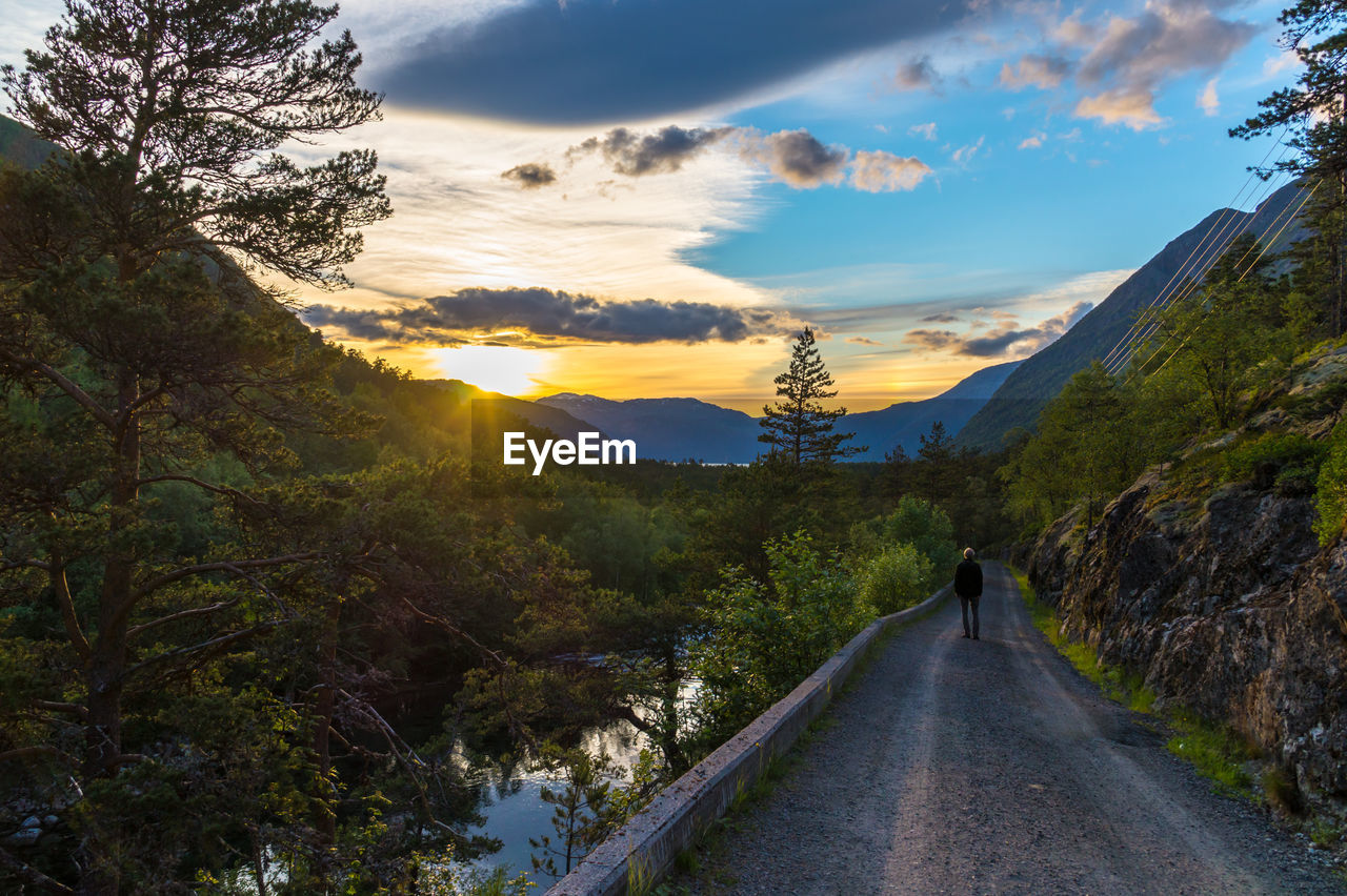 Road amidst trees against sky during sunset