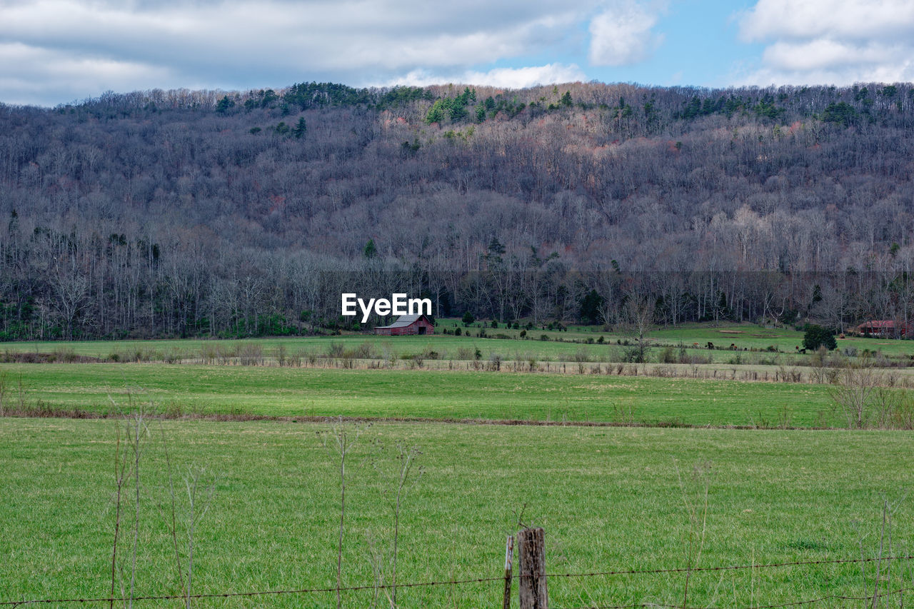 scenic view of agricultural field