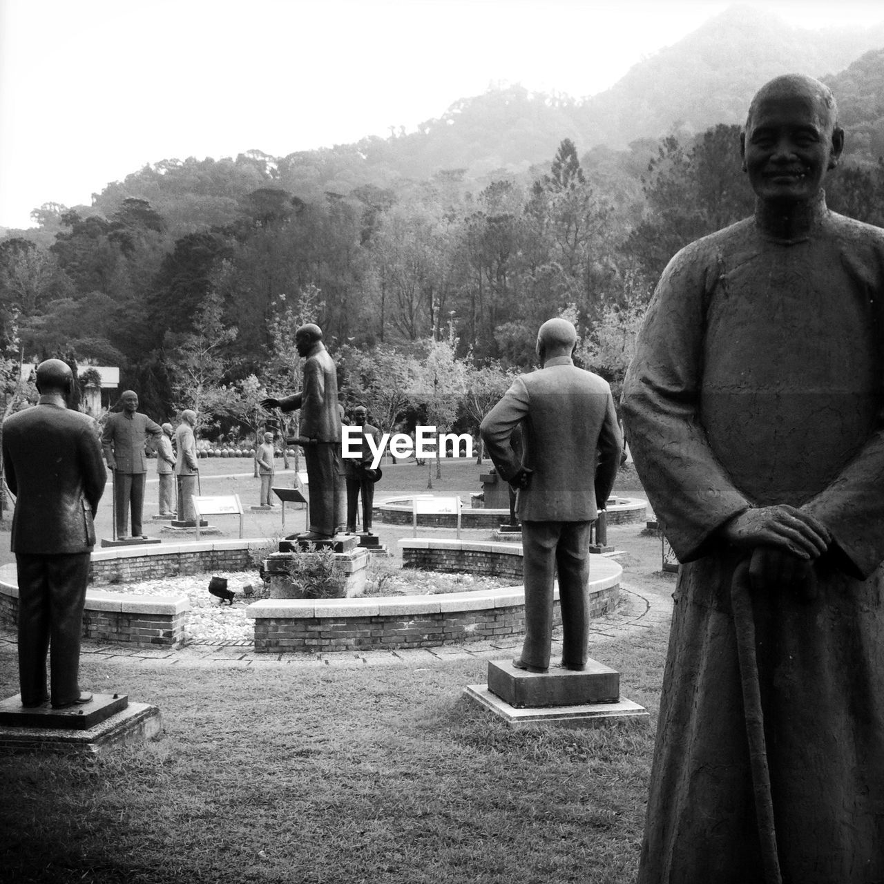 REAR VIEW OF MAN AND WOMAN STANDING AGAINST TREES