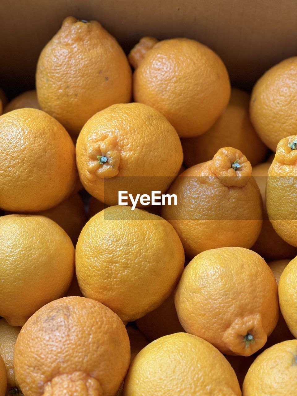 close-up of lemons