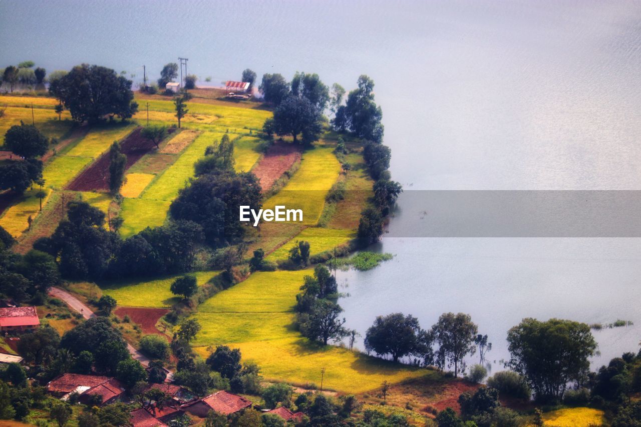 SCENIC VIEW OF TREES AND HOUSES AGAINST SKY