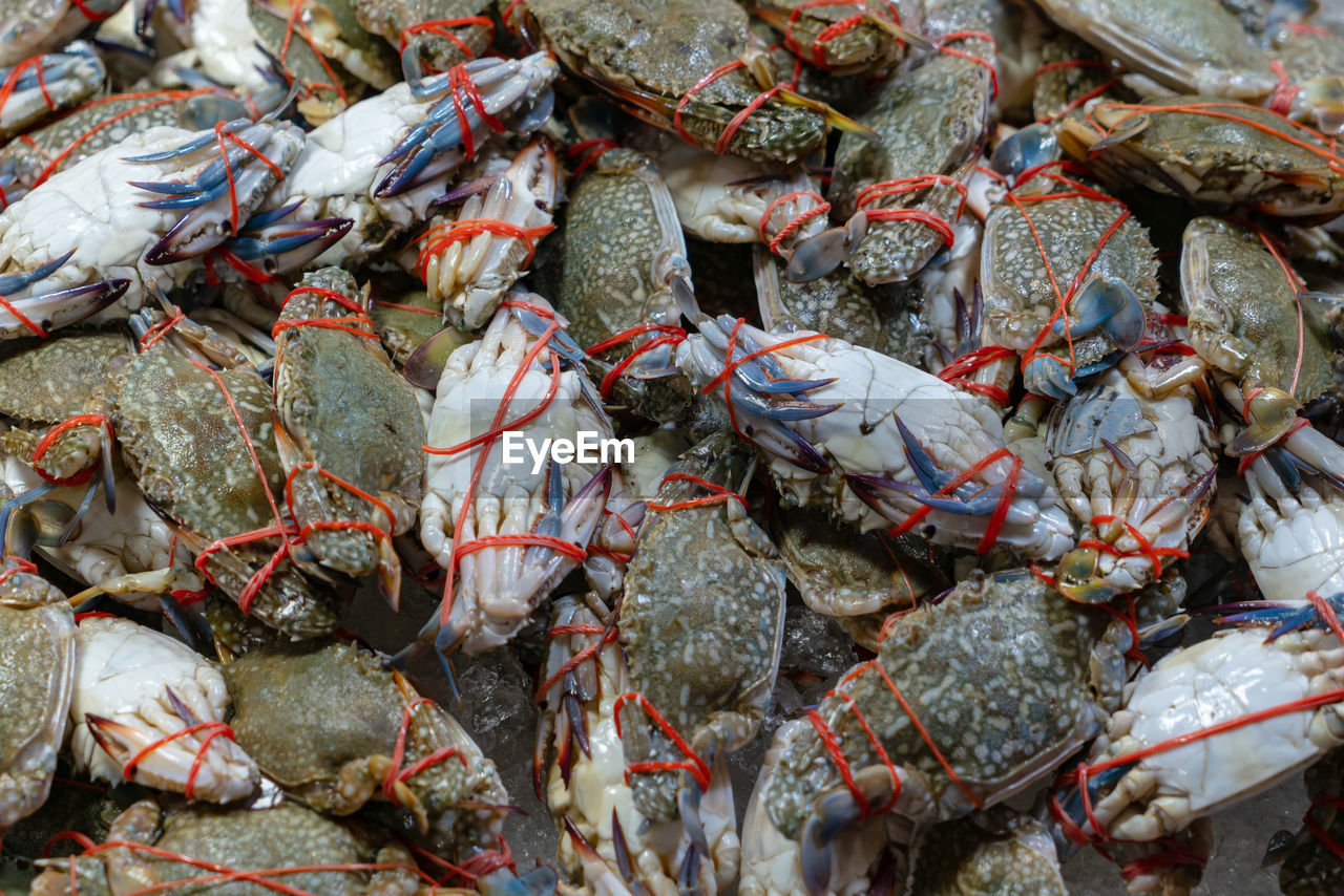 FULL FRAME SHOT OF FISH FOR SALE AT MARKET