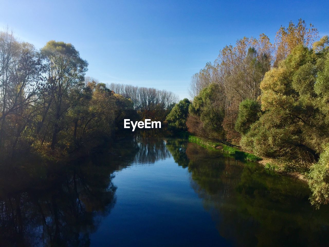 TREES BY LAKE AGAINST SKY