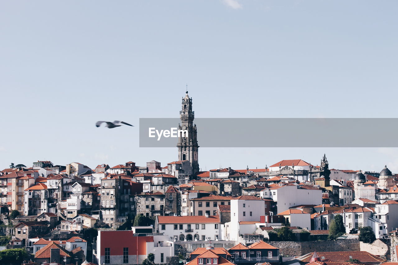 Clerigos church amidst cityscape against sky