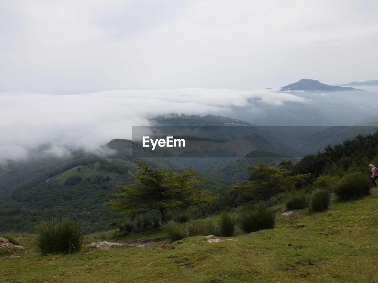 SCENIC VIEW OF LANDSCAPE AGAINST SKY DURING FOGGY WEATHER