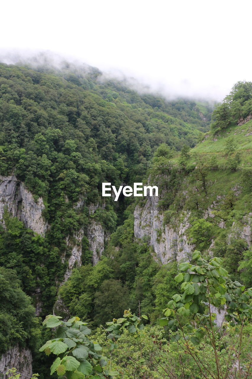 SCENIC VIEW OF LANDSCAPE WITH MOUNTAIN IN BACKGROUND