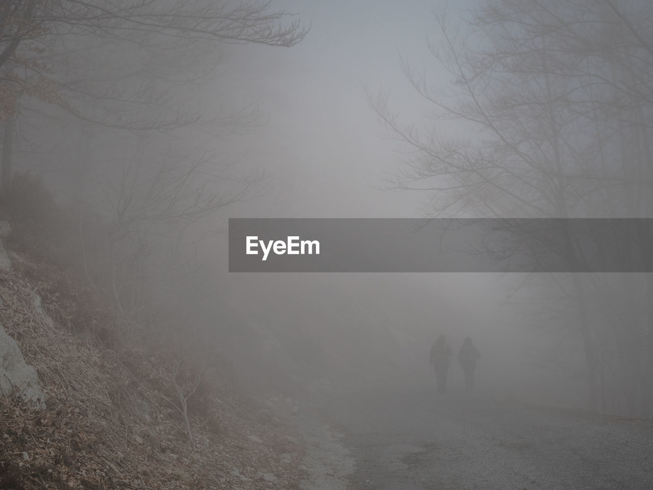 Rear view of people walking through fog