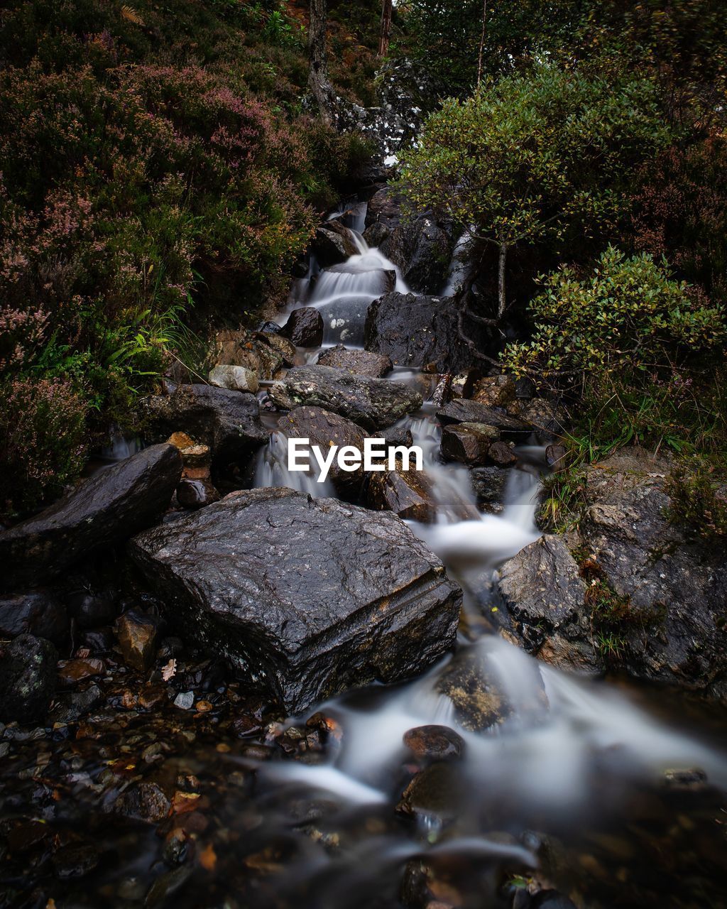 STREAM FLOWING THROUGH ROCKS