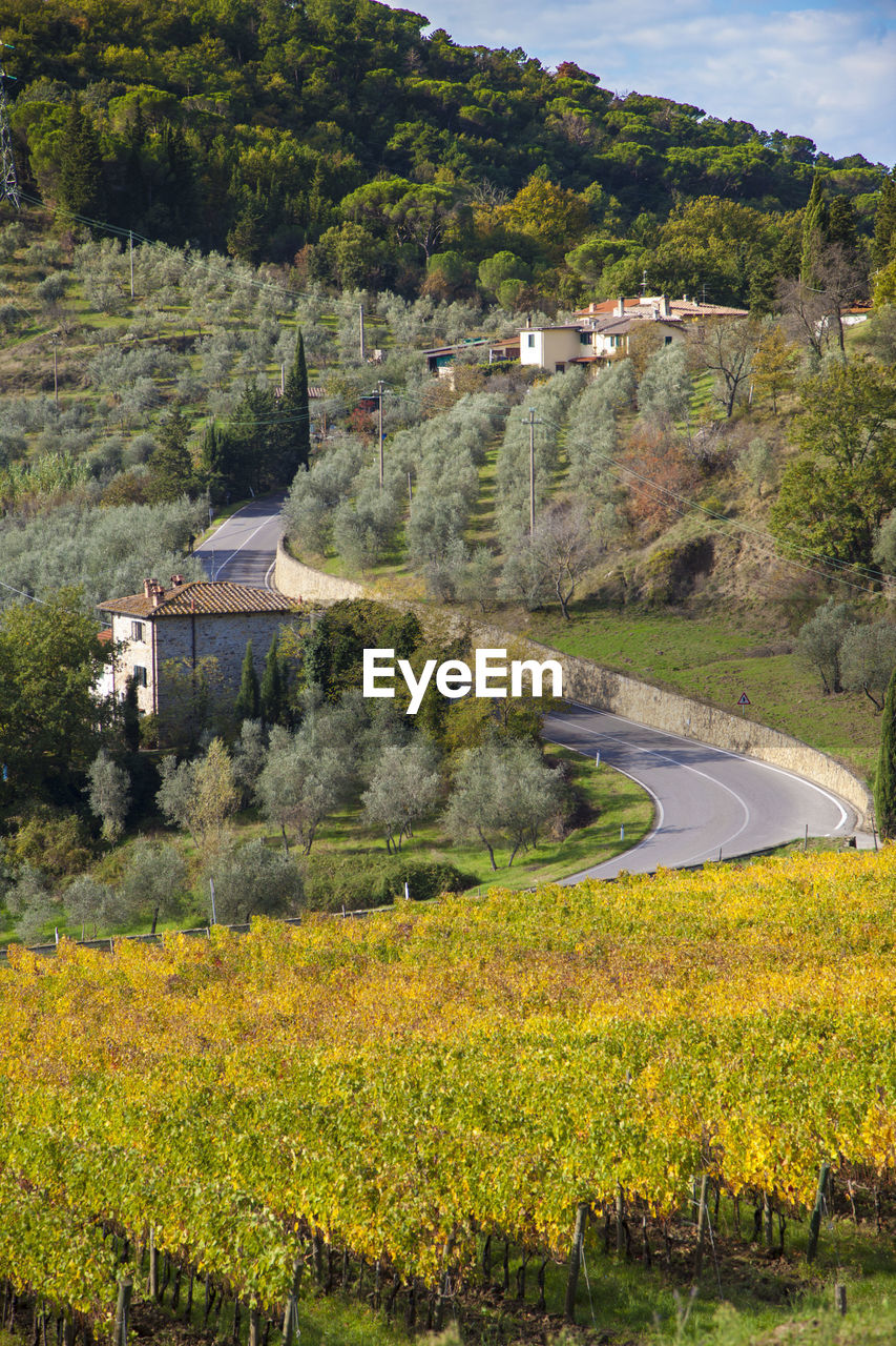 Curved road along countryside landscape