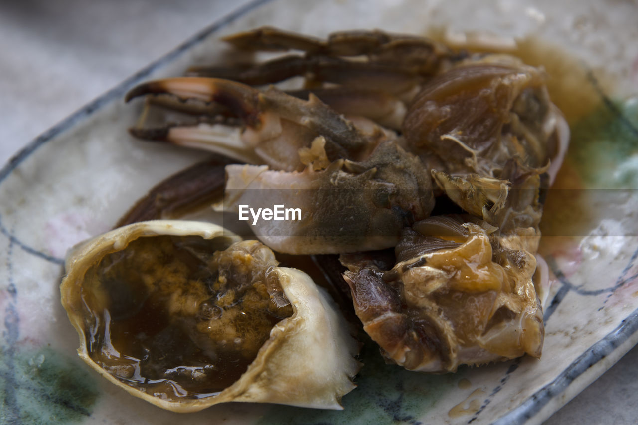 HIGH ANGLE VIEW OF SEAFOOD IN PLATE