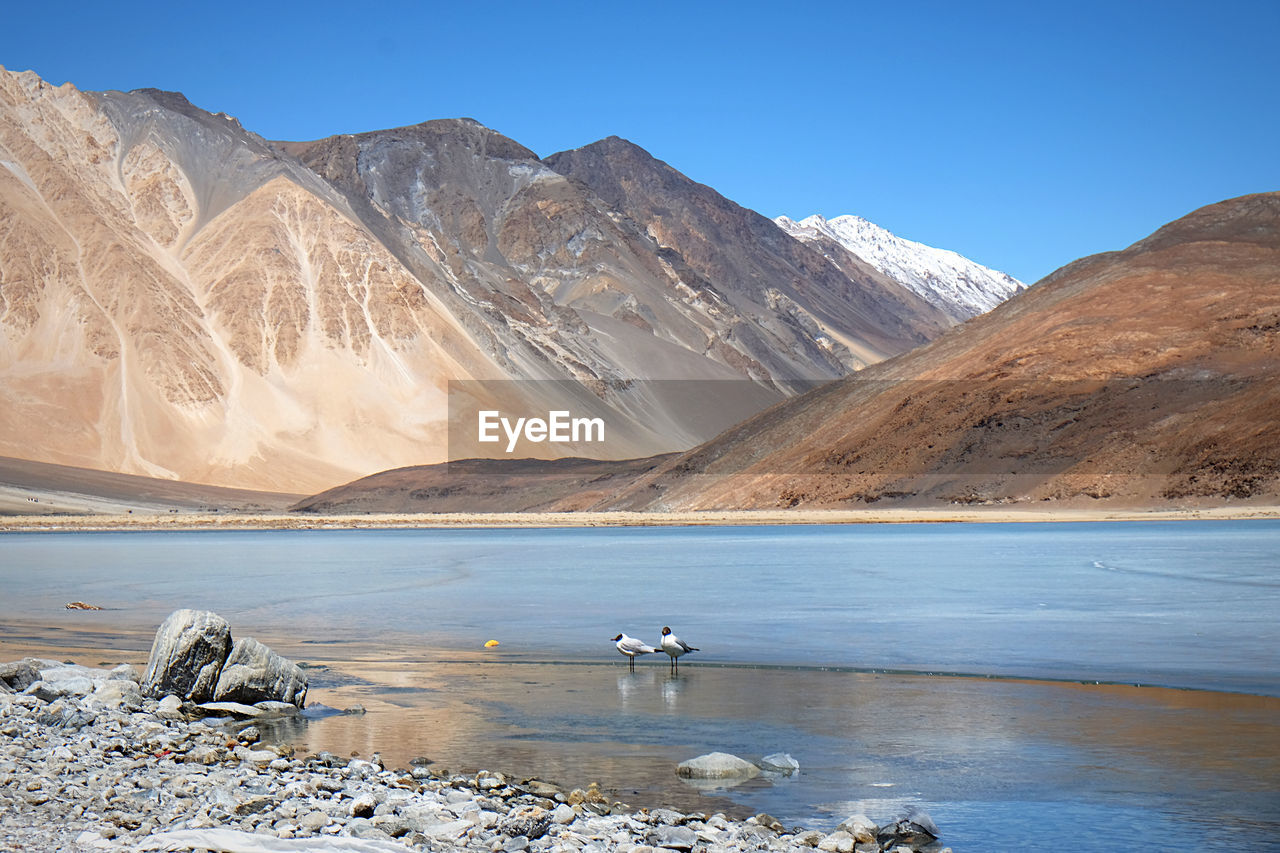 Scenic view of snowcapped mountains by lake against sky