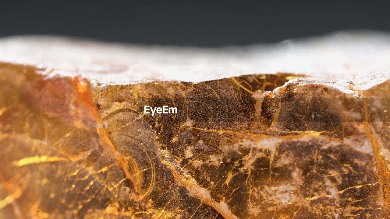 CLOSE-UP OF BREAD IN CONTAINER