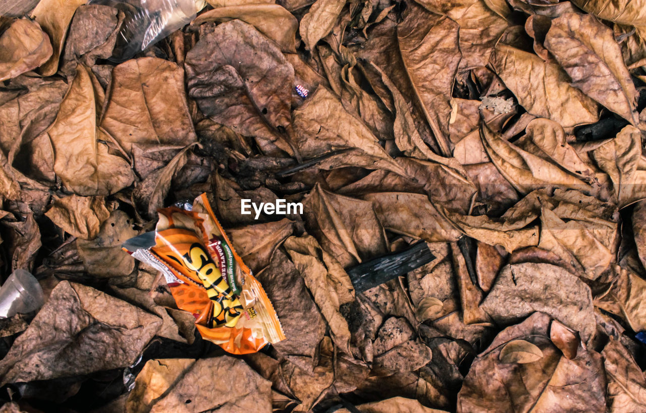 HIGH ANGLE VIEW OF DRY AUTUMN LEAVES ON ROCK