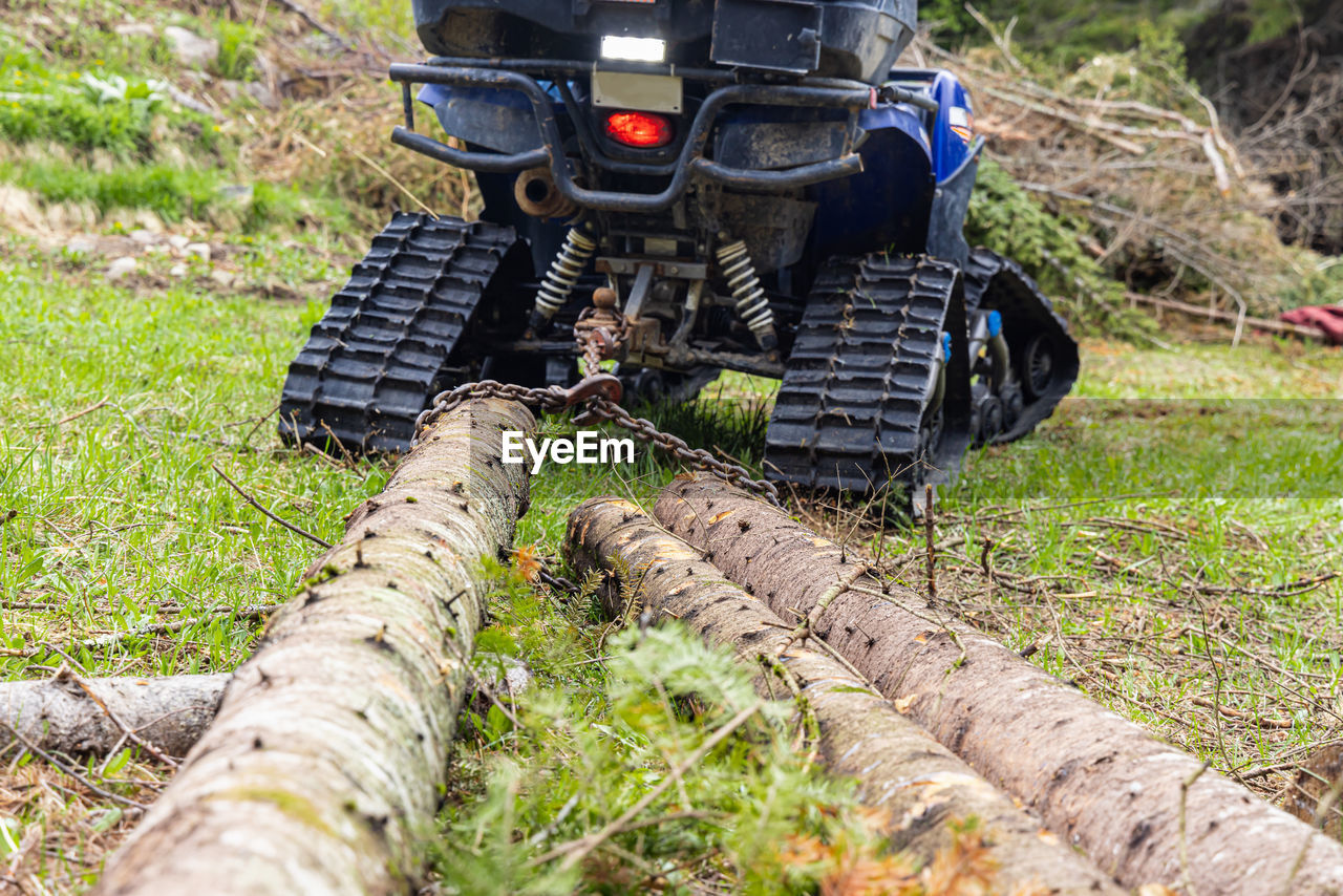 plant, off-roading, vehicle, nature, day, transportation, all-terrain vehicle, land, soil, grass, mode of transportation, field, outdoors, land vehicle, lawn, tree