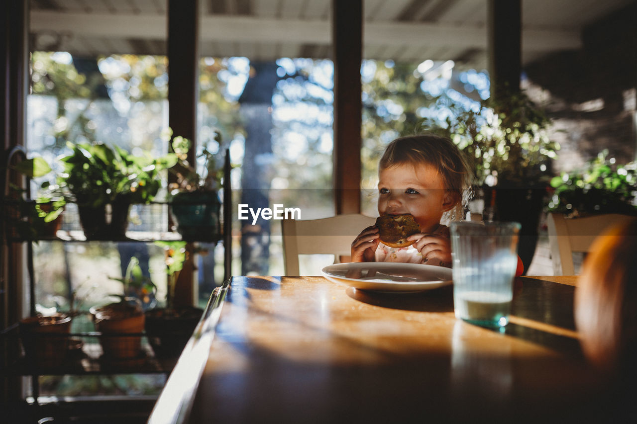 Toddler girl eating breakfast sitting at table in warm sunlight