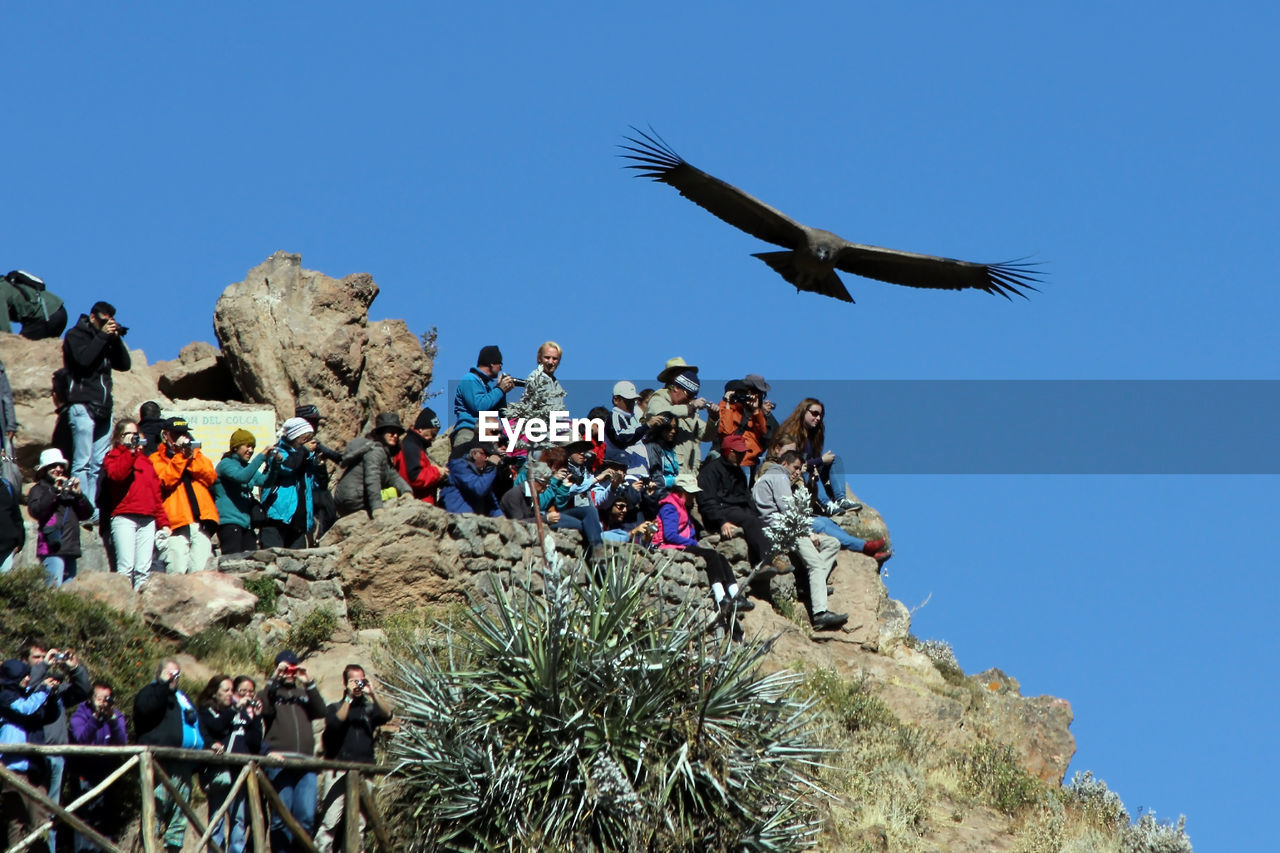 LOW ANGLE VIEW OF PEOPLE AGAINST CLEAR BLUE SKY