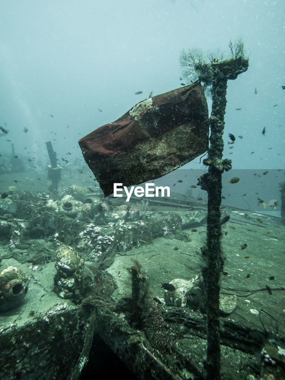 VIEW OF DAMAGED SWIMMING UNDERWATER