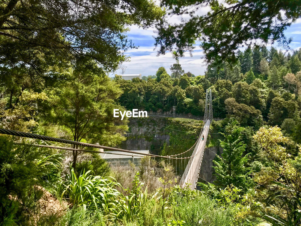 BRIDGE OVER RIVER