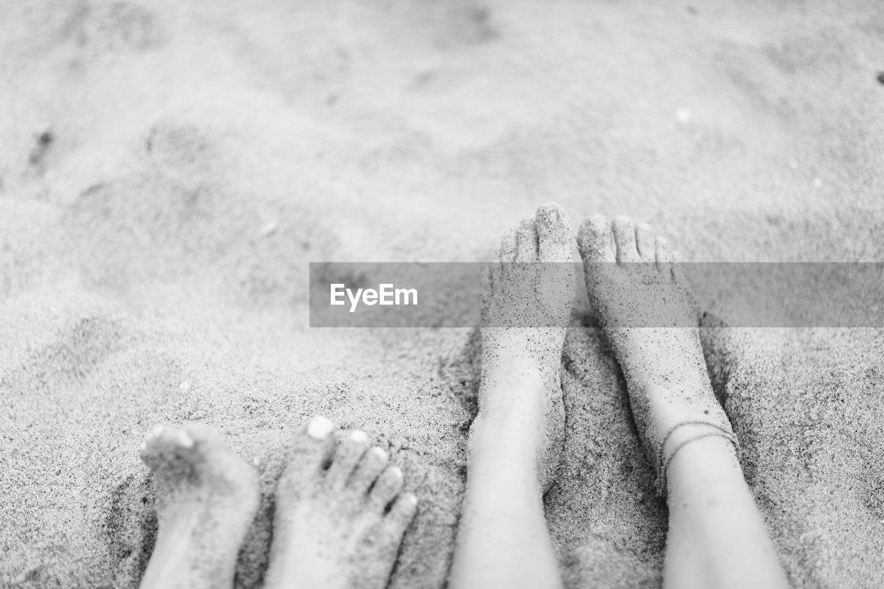 Low section of people at sandy beach