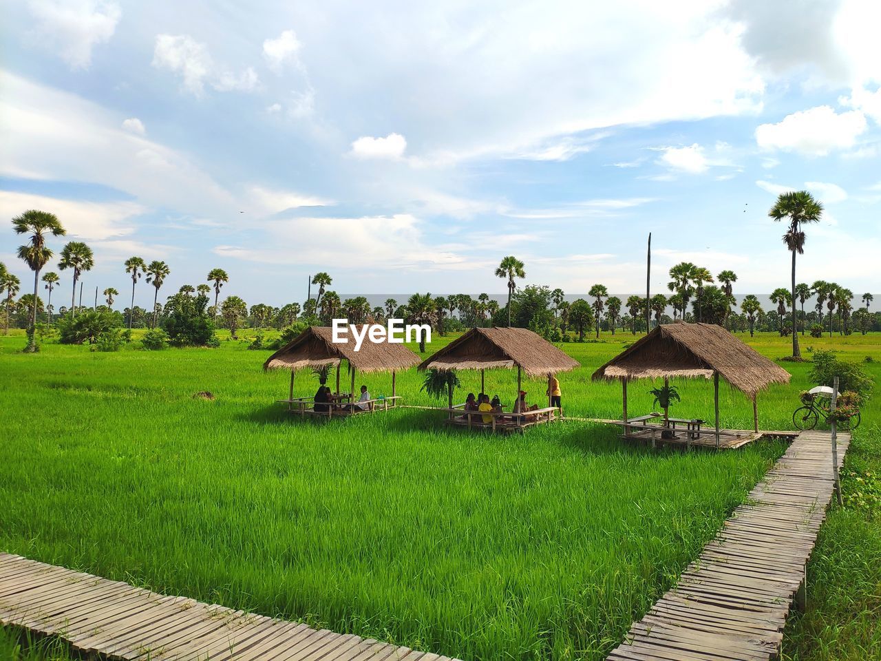 PANORAMIC VIEW OF FARM AGAINST SKY