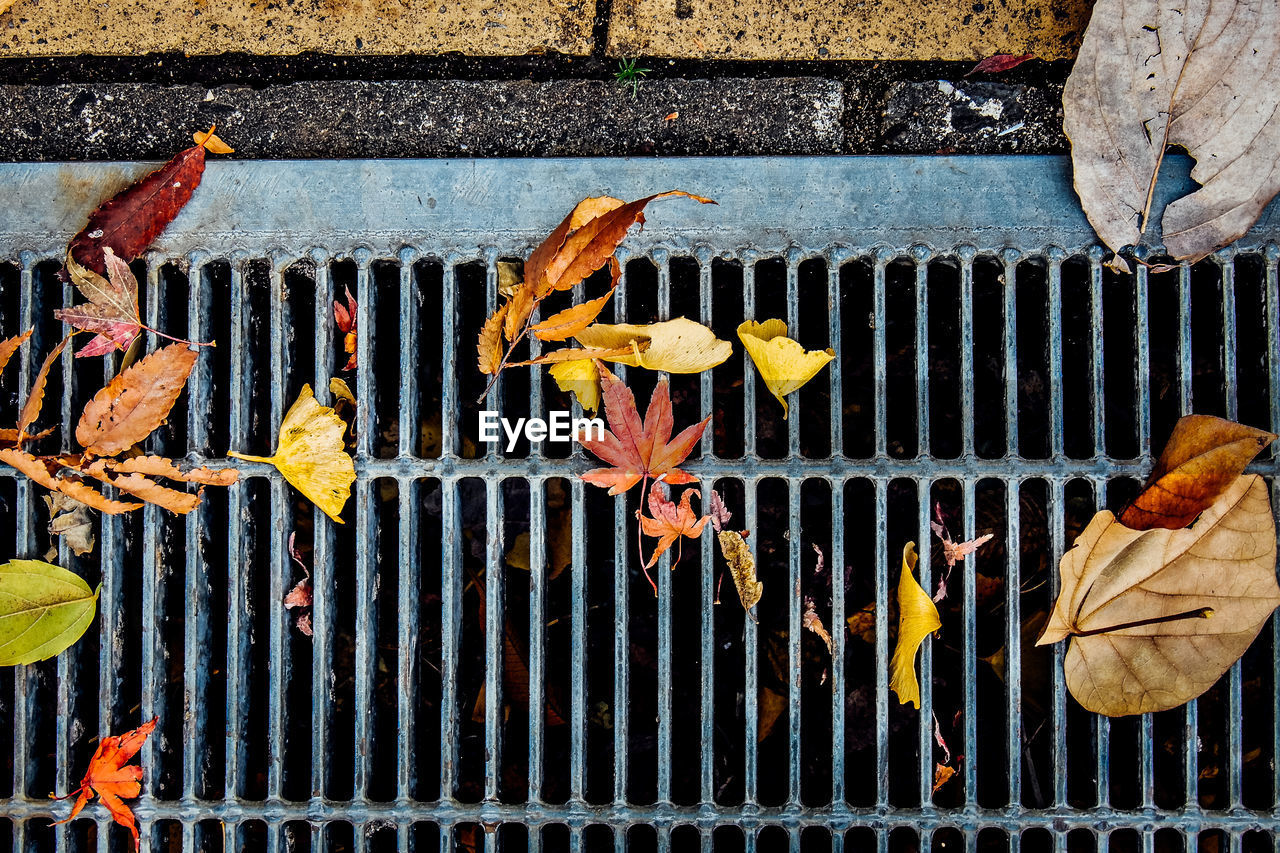 High angle view of fallen autumn leaves on metal grate