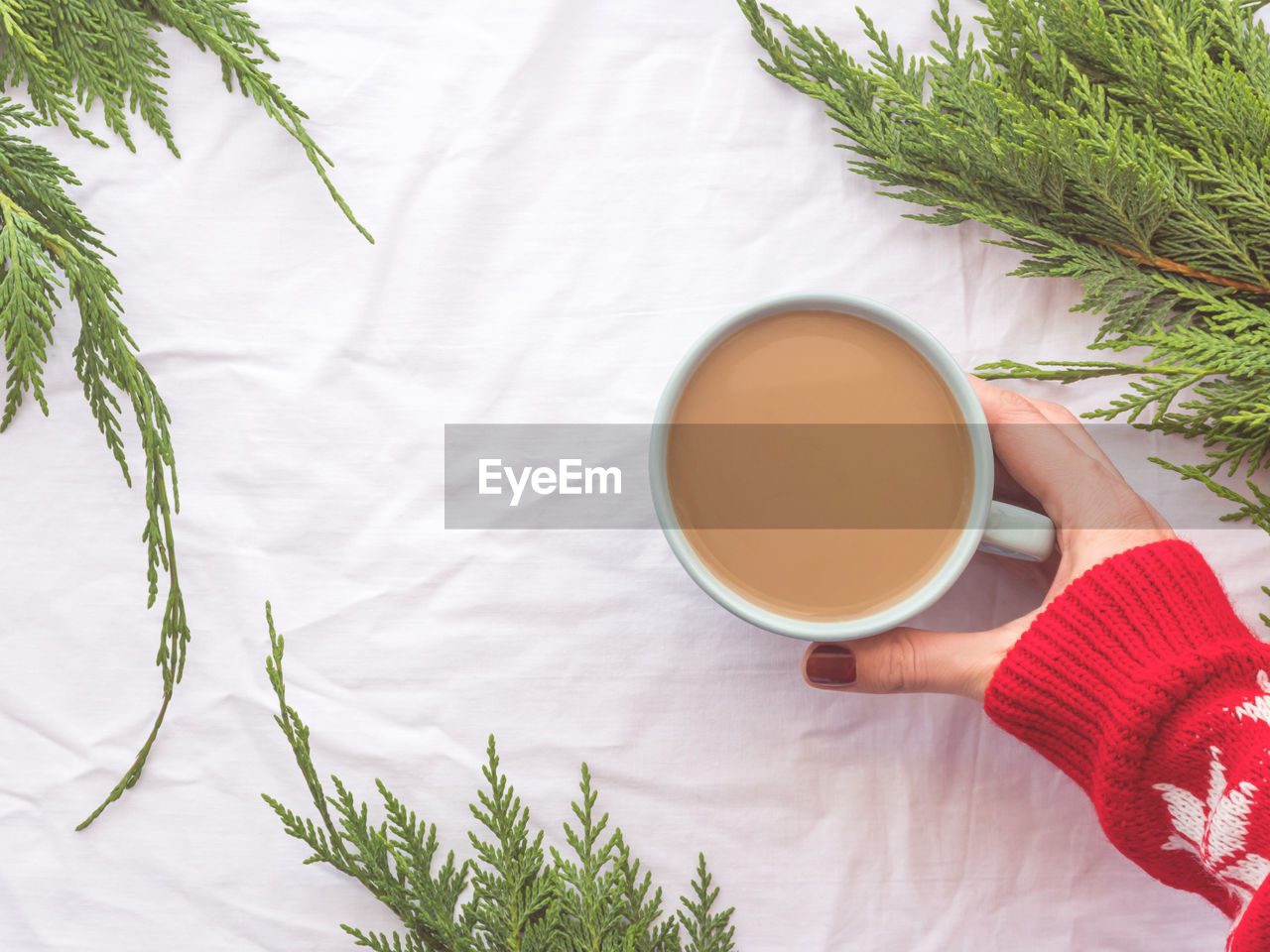 HIGH ANGLE VIEW OF WOMAN HOLDING TEA CUP WITH PLANT