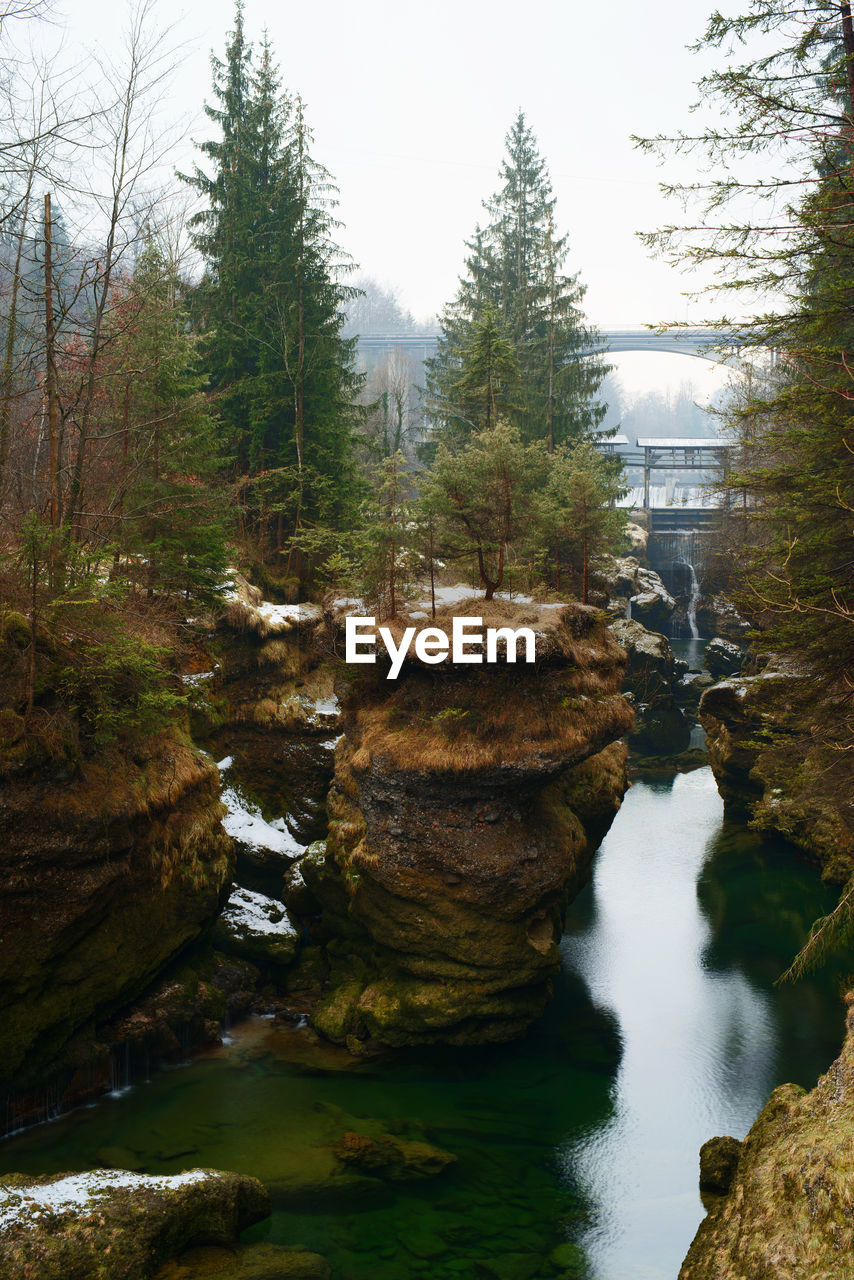 VIEW OF WATERFALL IN FOREST