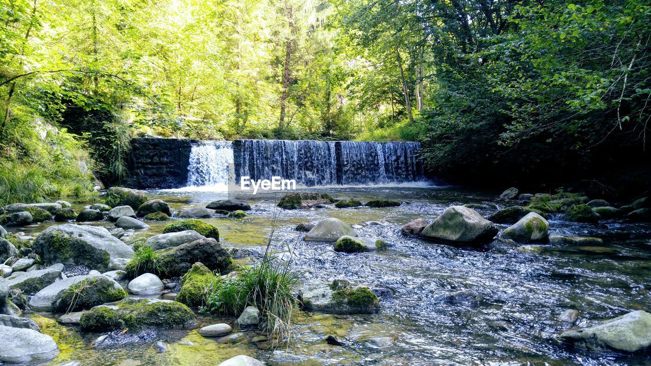 SCENIC VIEW OF WATERFALL