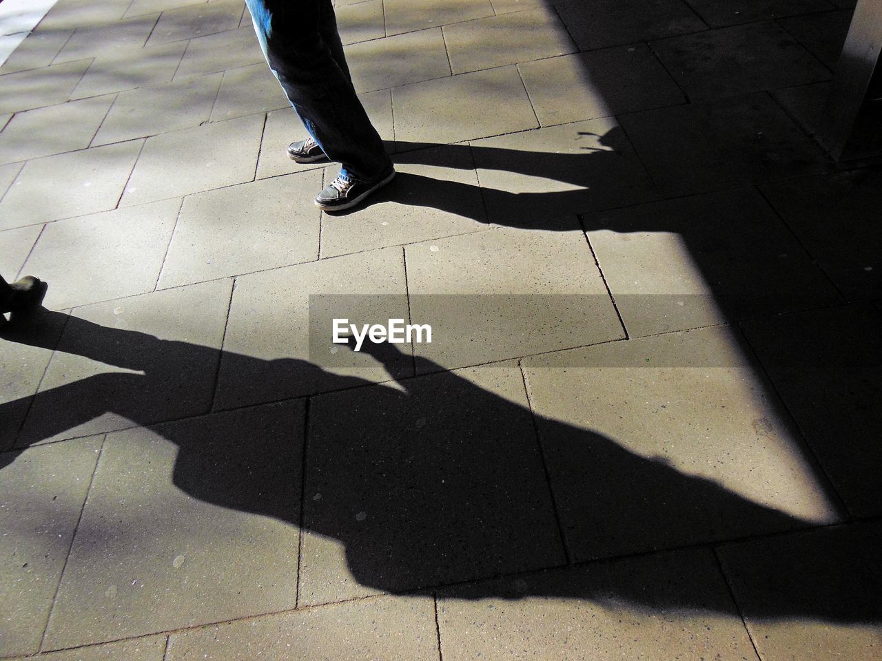 CLOSE-UP OF SHADOW ON THE GROUND