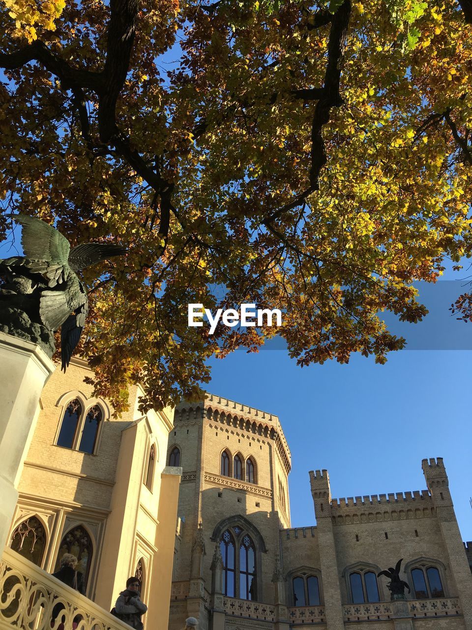 LOW ANGLE VIEW OF A BUILDING