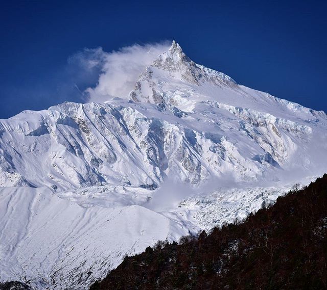 SNOW COVERED LANDSCAPE