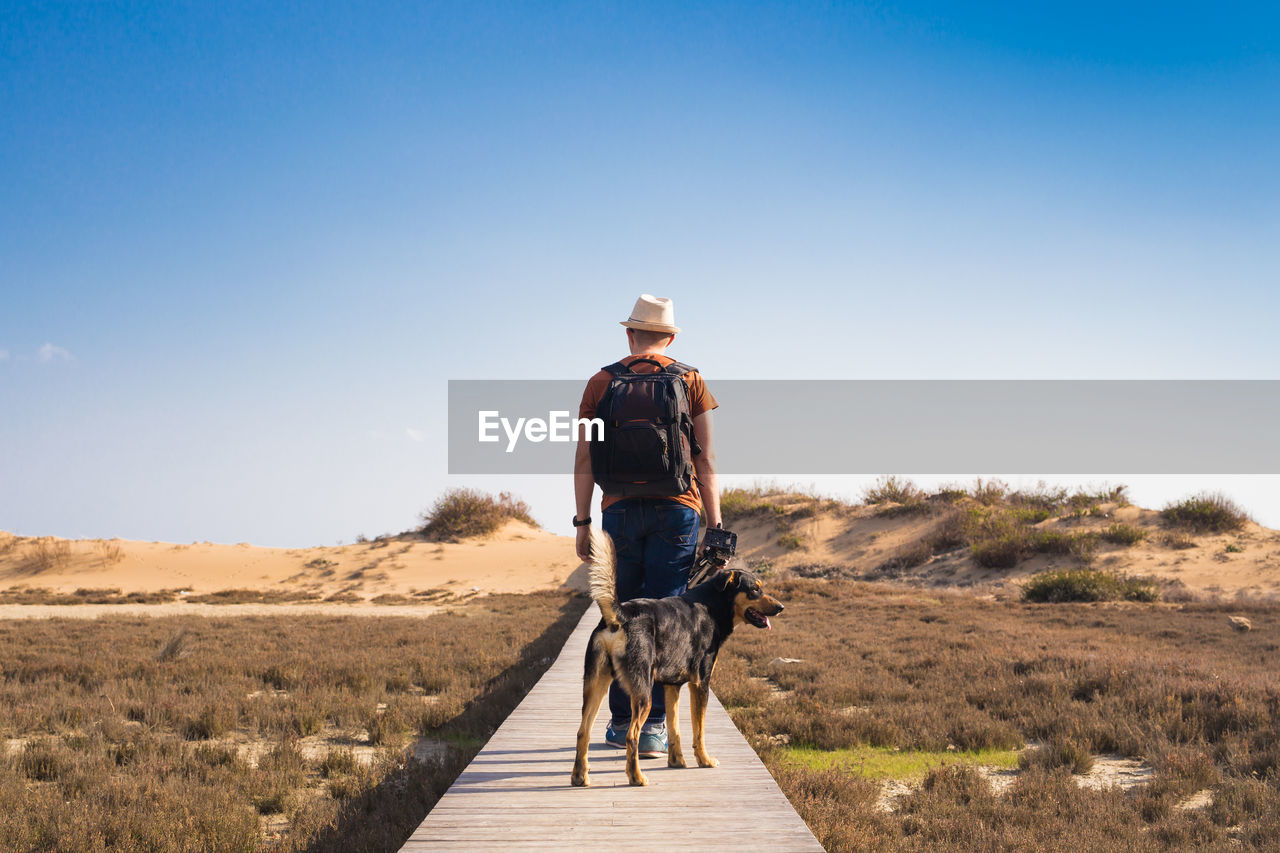 Rear view of man riding horse on landscape against sky