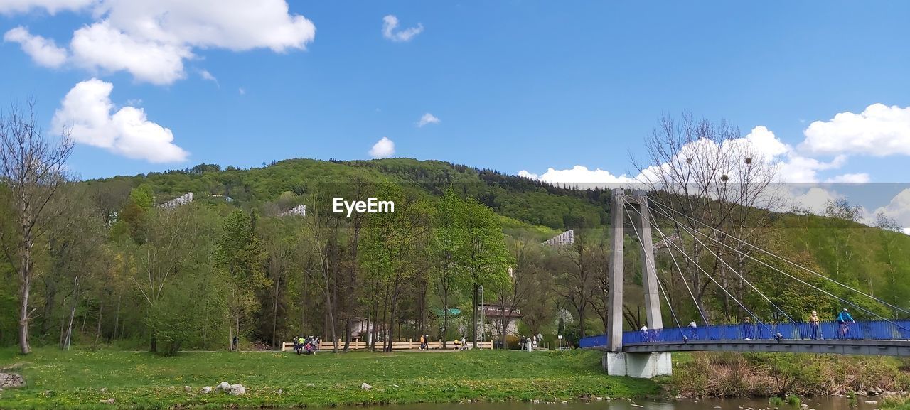 Panoramic shot of trees on field against sky