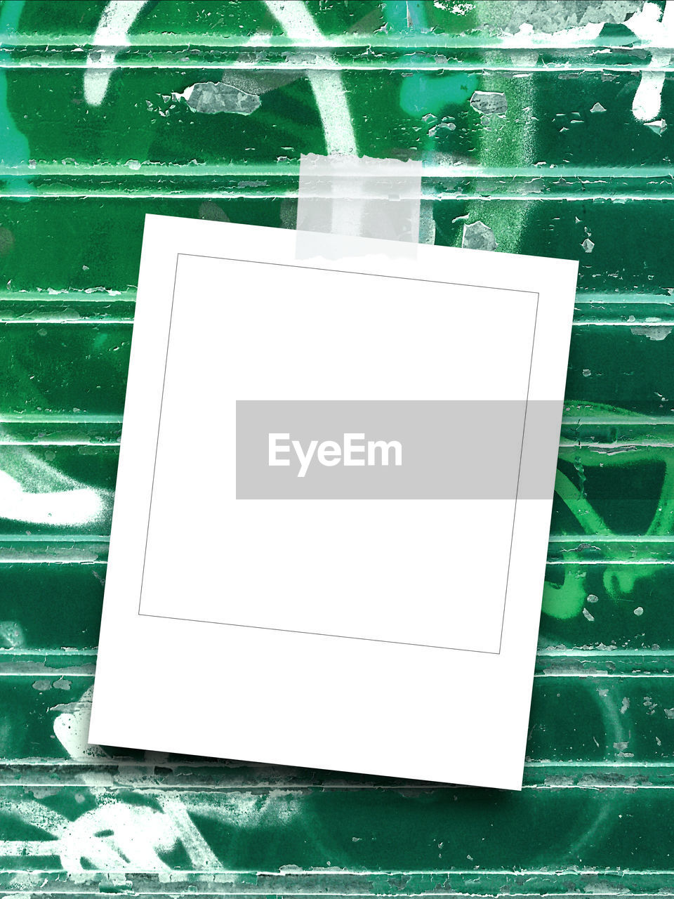 Blank instant photo frame on green weathered metal shutter background