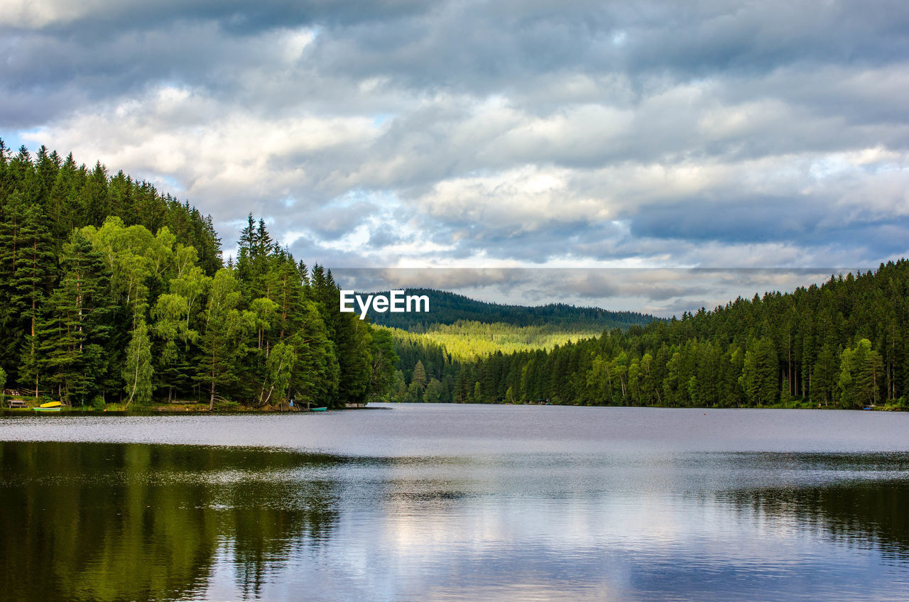 Scenic view of lake by trees against sky