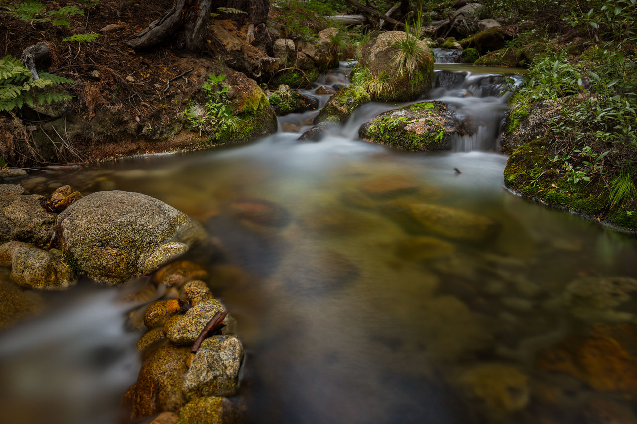 River flowing through rocks