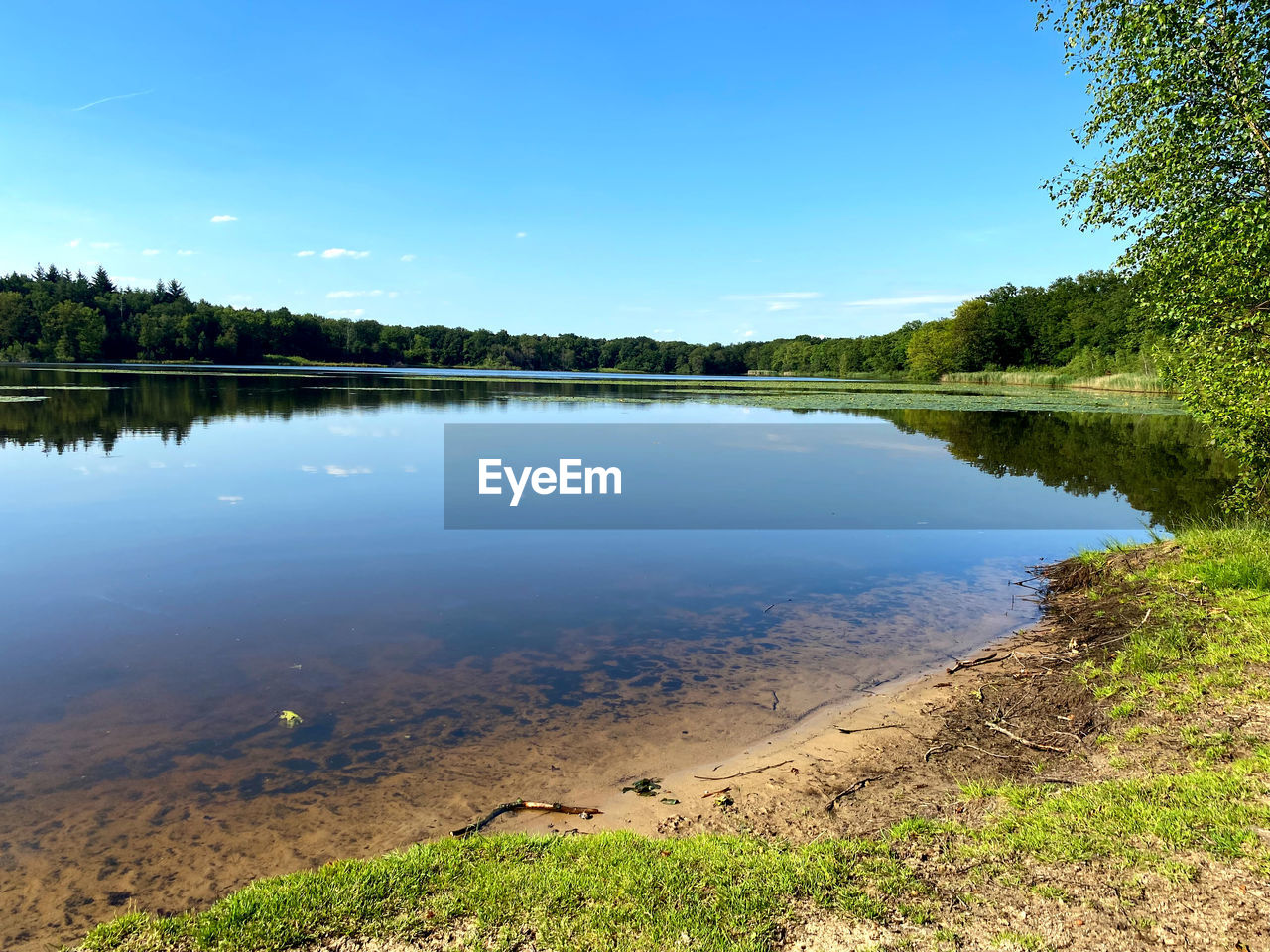 water, reflection, body of water, sky, lake, plant, nature, tree, scenics - nature, beauty in nature, reservoir, tranquility, environment, landscape, tranquil scene, blue, wilderness, no people, land, shore, forest, non-urban scene, natural environment, day, travel destinations, clear sky, outdoors, green, summer, cloud, travel, idyllic, wetland, grass, beach, sunlight, tourism, sunny