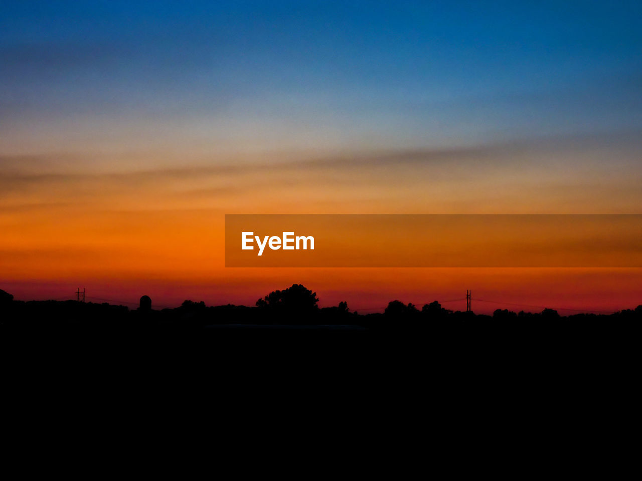 Silhouette of trees at sunset