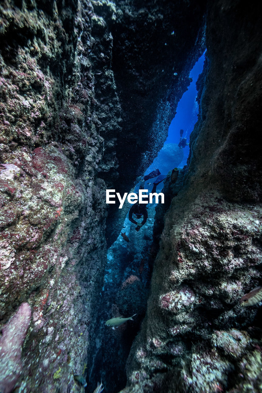 High angle view of people scuba diving in sea