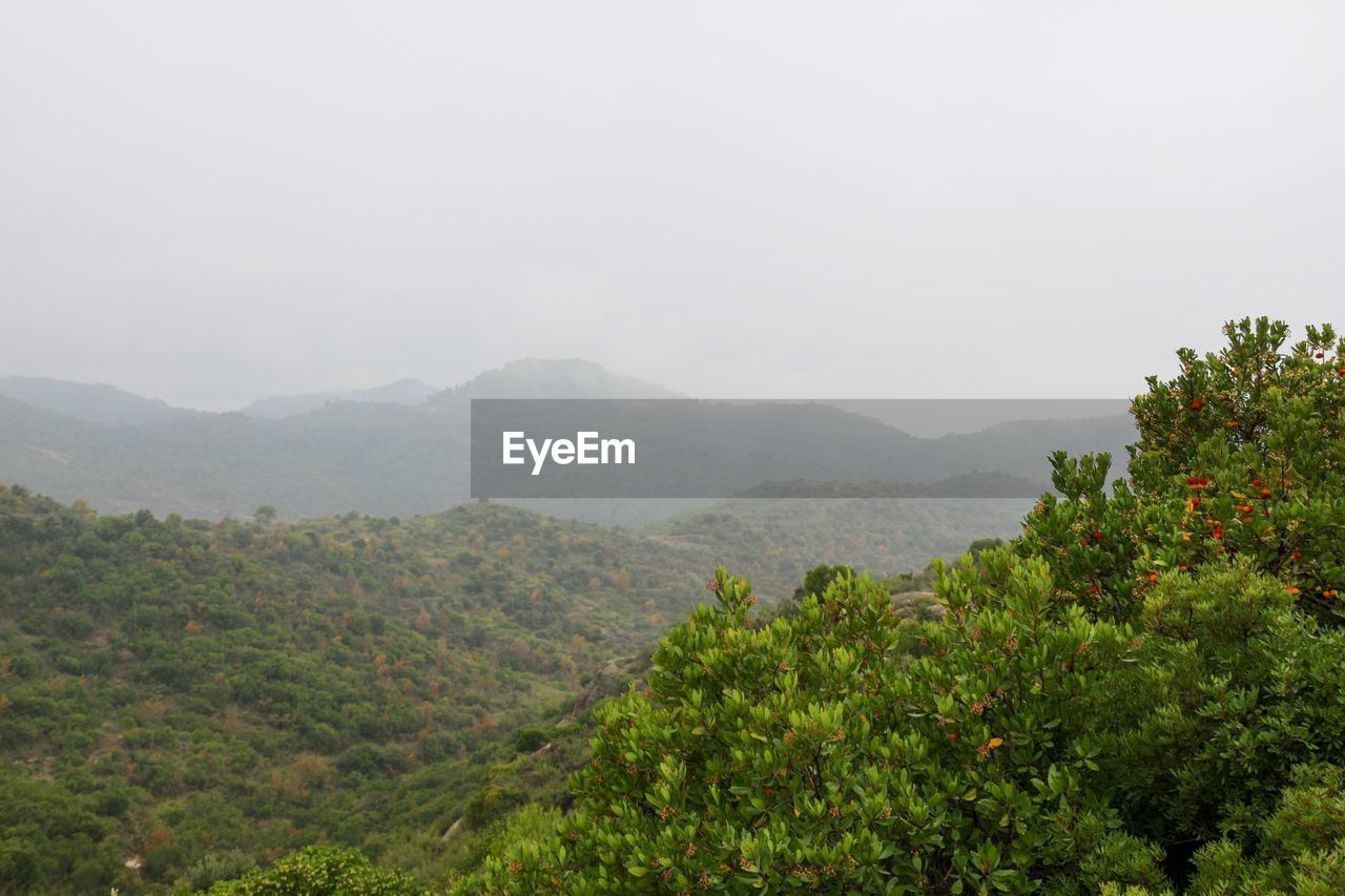 SCENIC VIEW OF LANDSCAPE AND MOUNTAINS AGAINST SKY