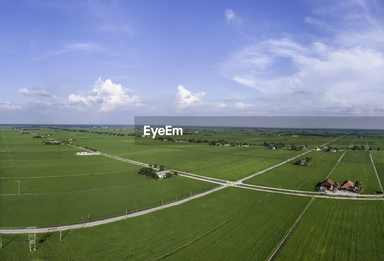 SCENIC VIEW OF AGRICULTURAL LANDSCAPE AGAINST SKY