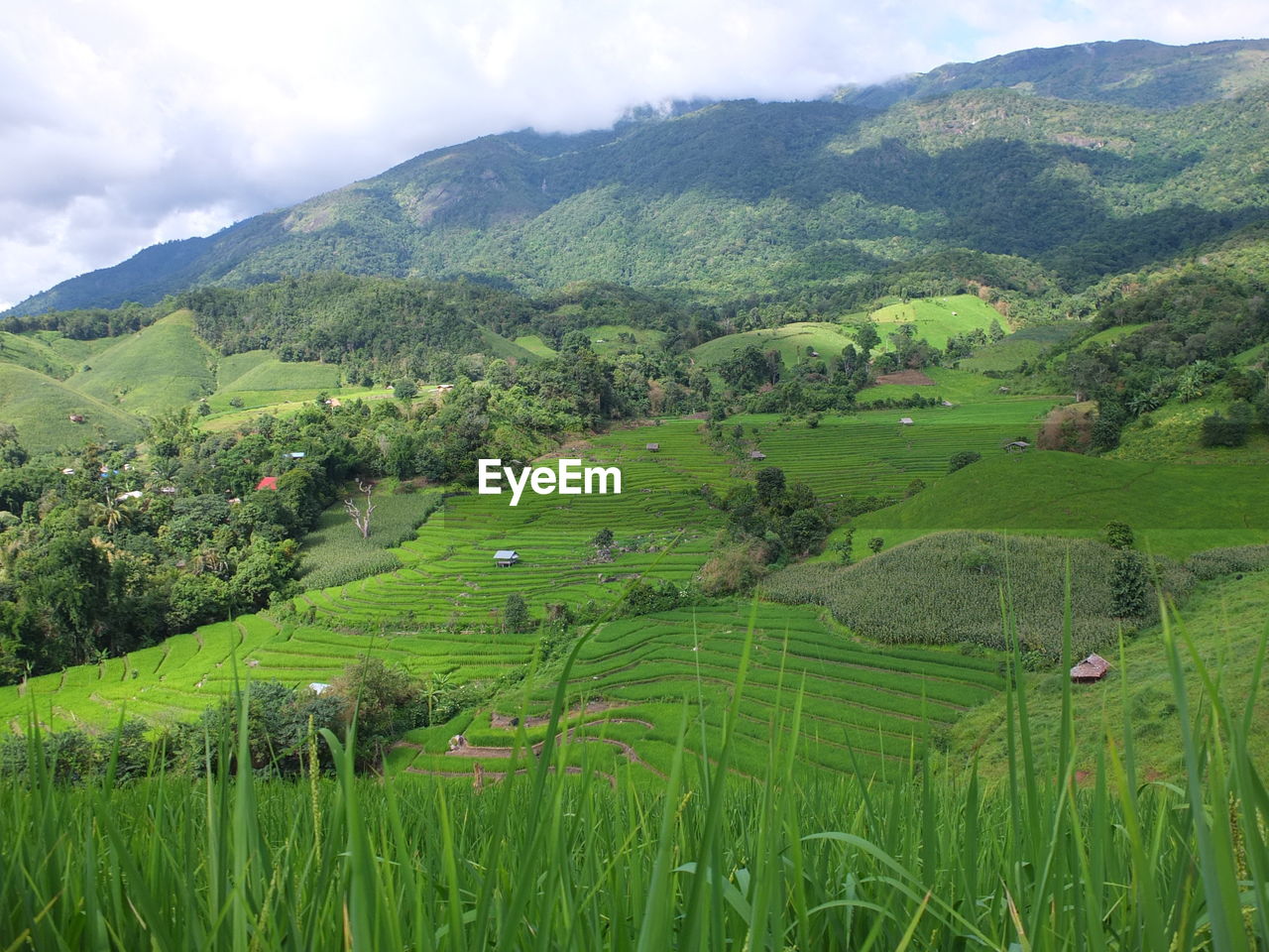 SCENIC VIEW OF FARMS AGAINST SKY